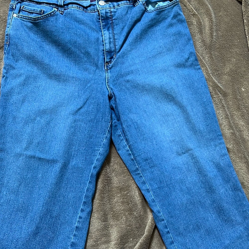 Gloria Vanderbilt amazing comfortable Amanda capris size 18